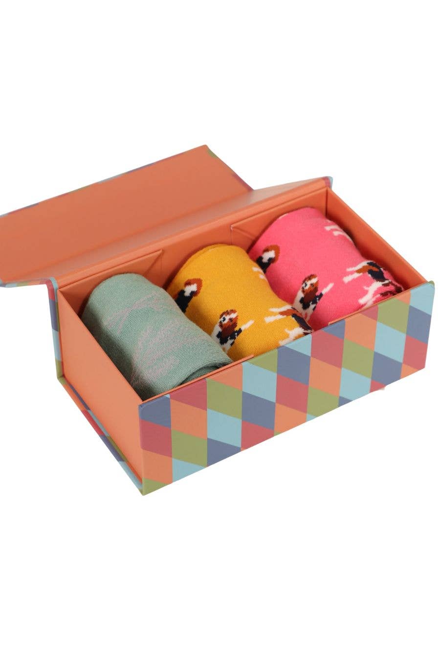 Beagle Bamboo Socks Gift Box Set