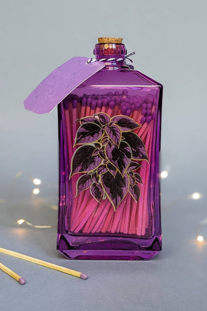 Matches In Plant Gin Bottle - Purple Plant