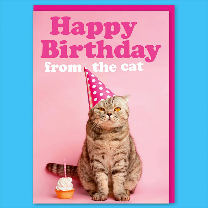 Happy Birthday from the Cat Greeting Card