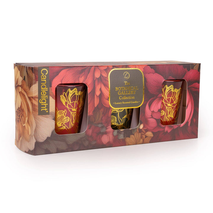 Set of 3 Votives - Botanical Gallery