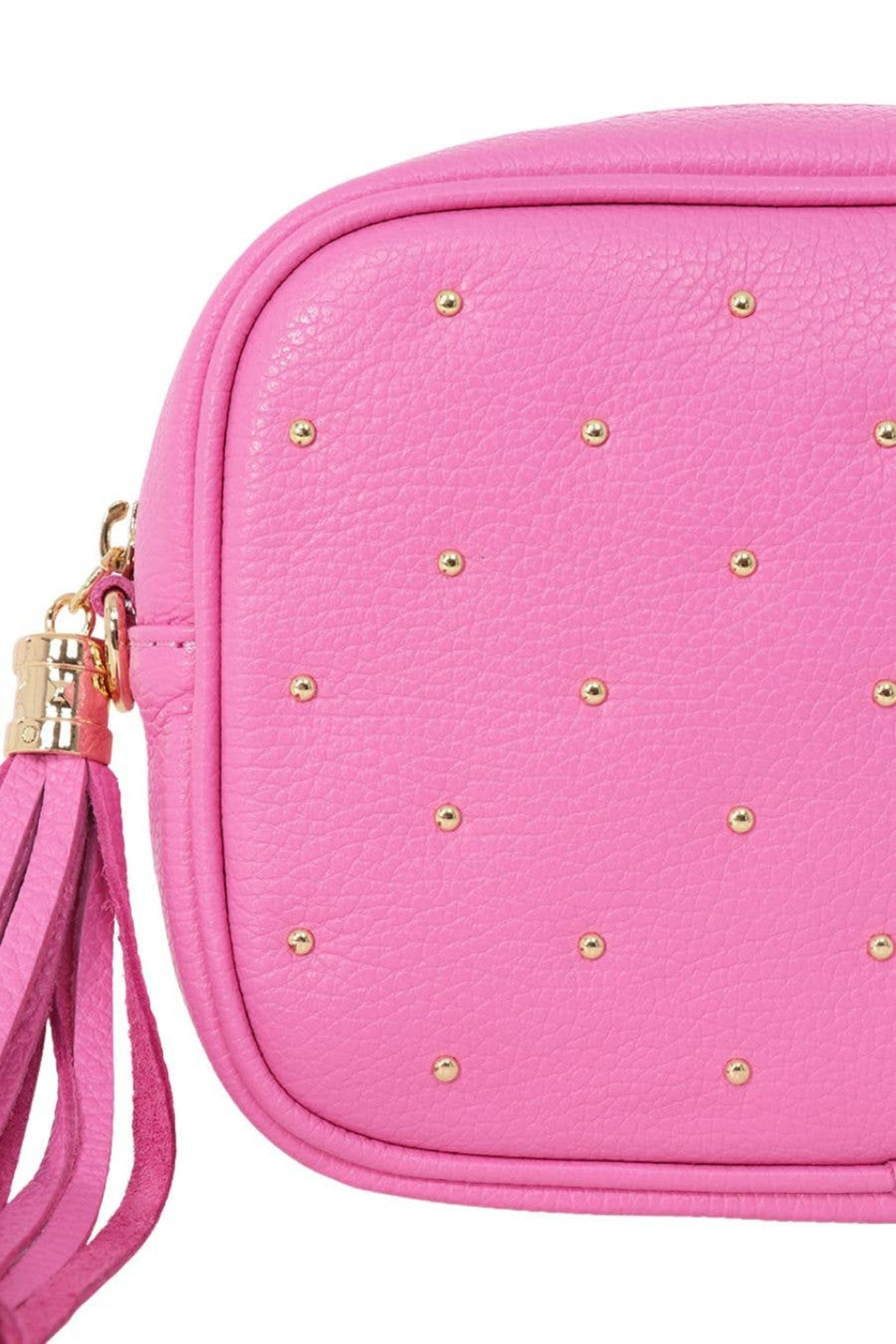 Bubblegum Pink Leather Gold Stud Detail Camera Bag