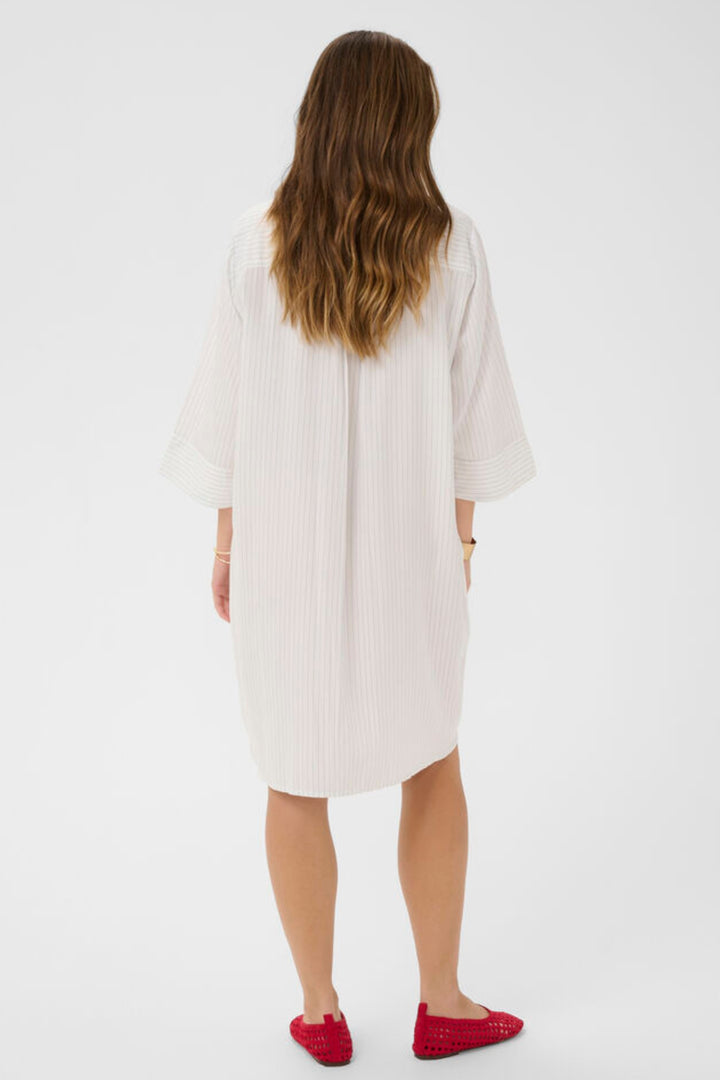Cream Clothing CRSilje Swallow Embroidered Shirt Dress