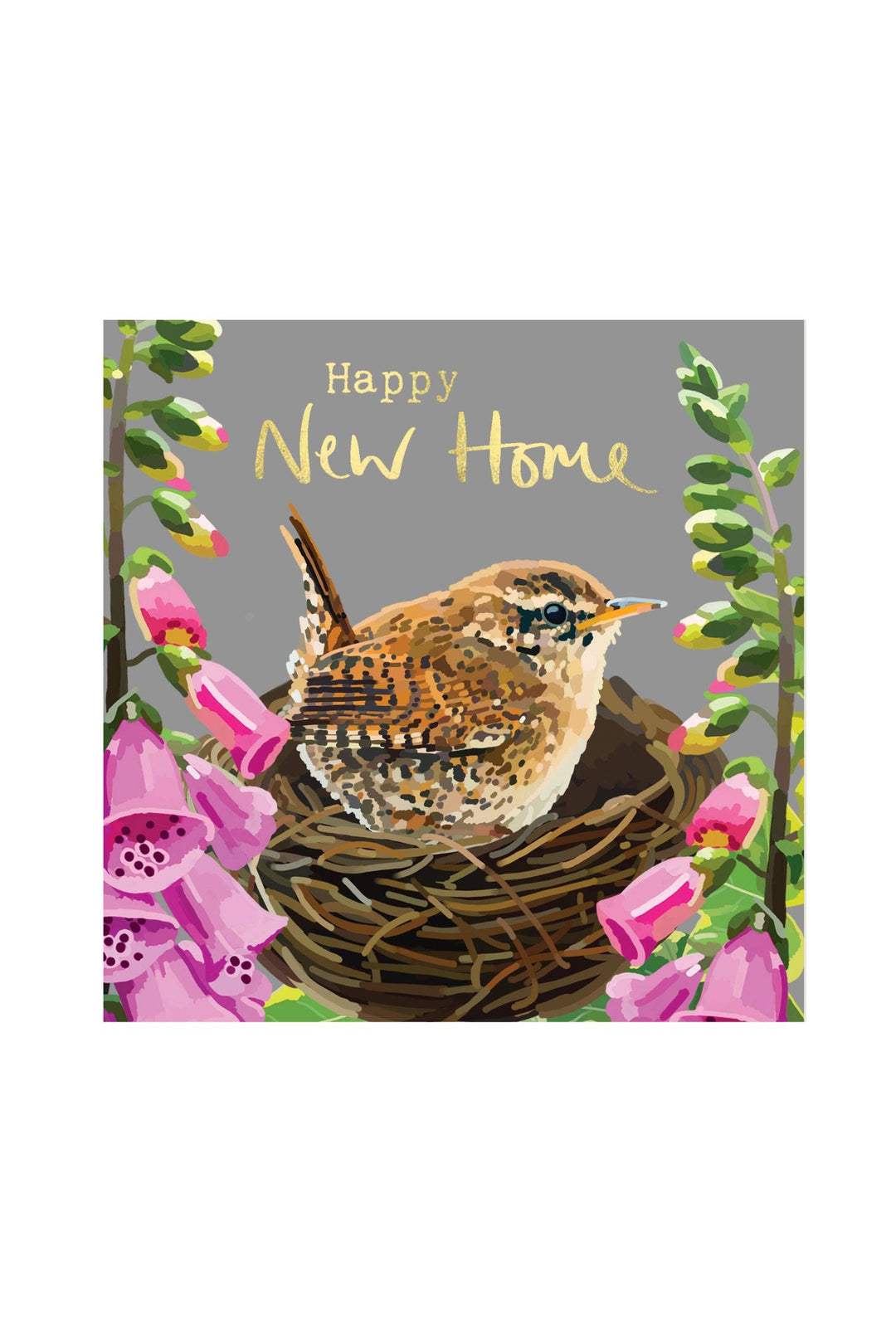 Happy New Home Wren Greeting Card  