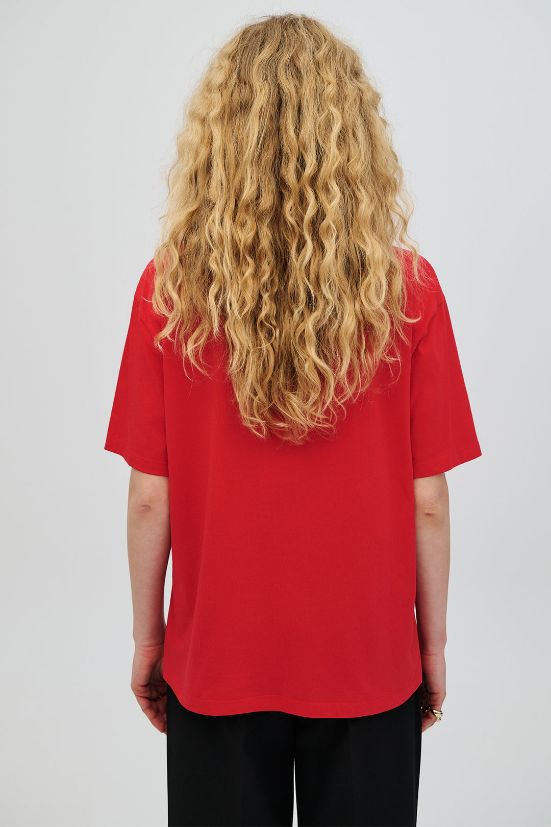 Access 63-2139-110 Red Diamante &