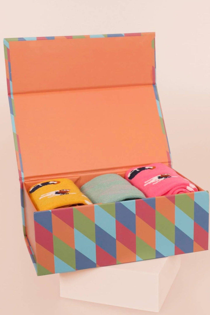 Beagle Bamboo Socks Gift Box Set